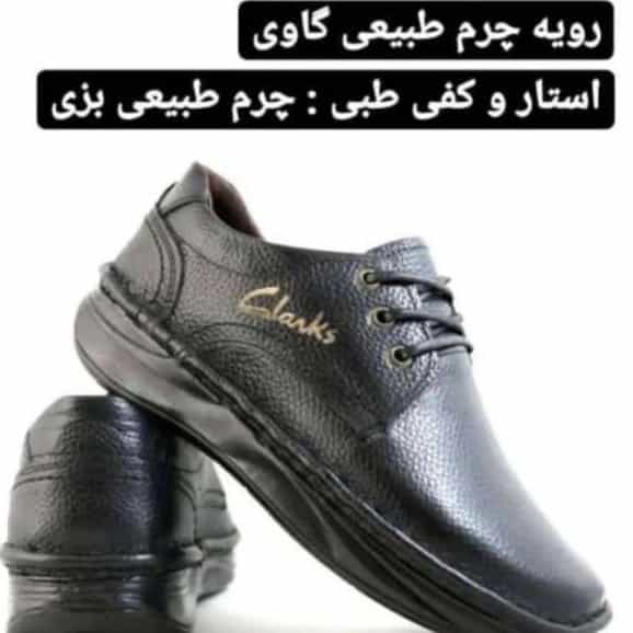 1701860156760.webp
